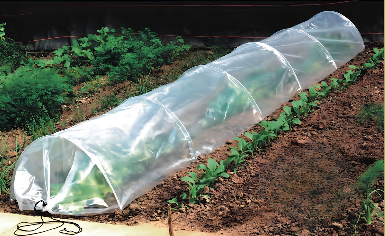 Grow Tunnel 001