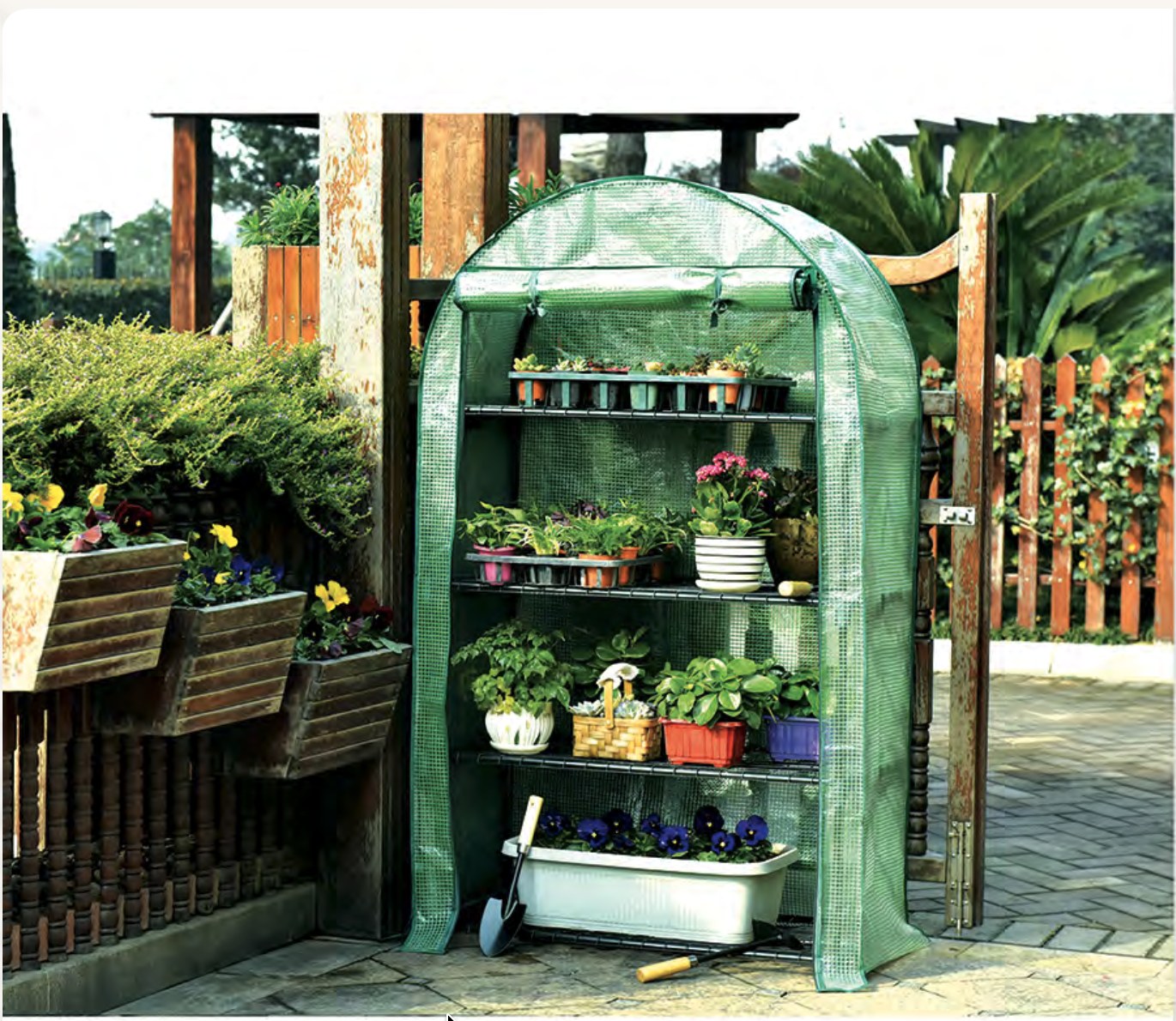 Mini Greenhouse 001
