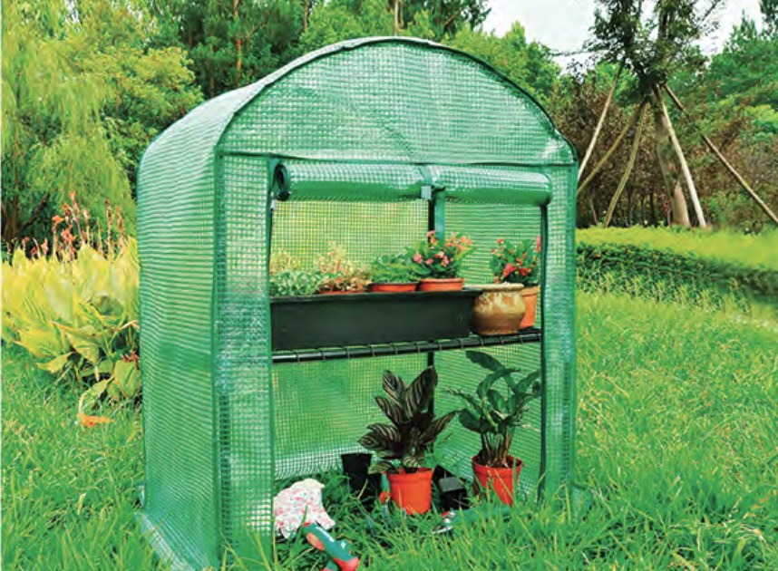 Mini Greenhouse 004