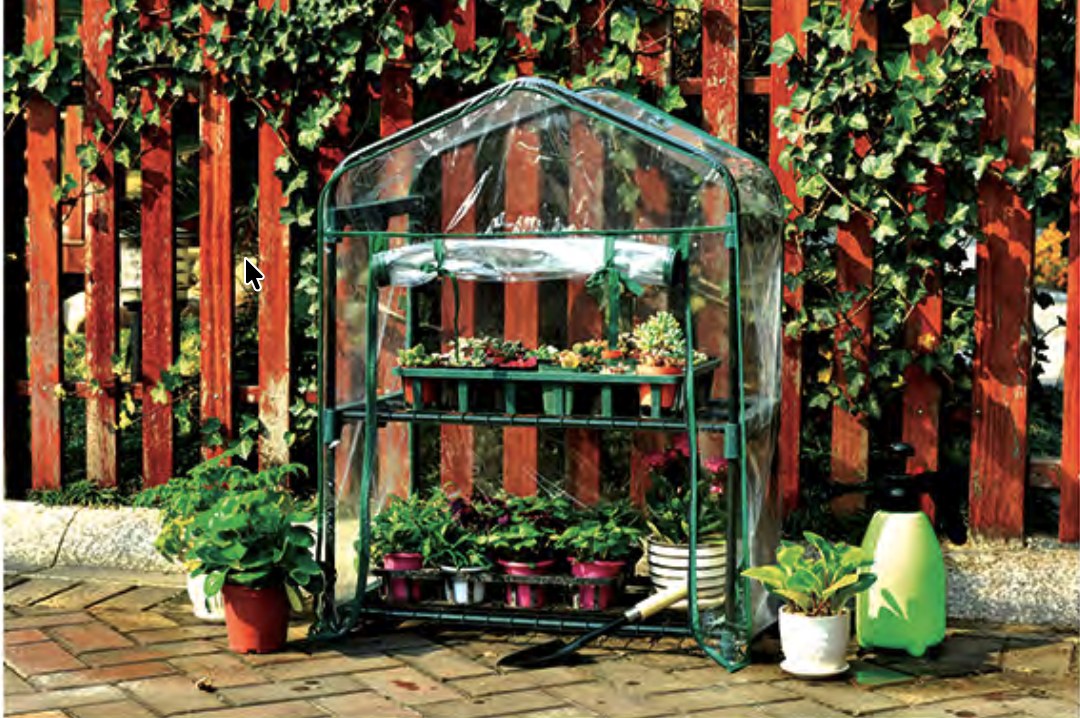 Mini Greenhouse 005