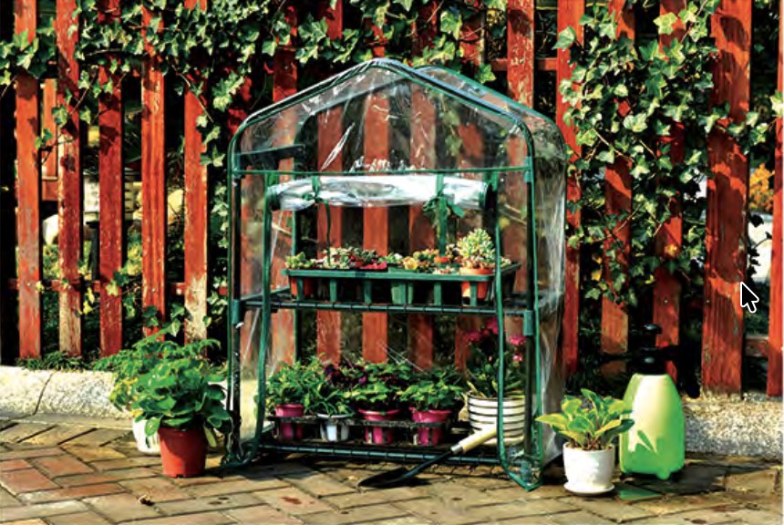 Mini Greenhouse 008