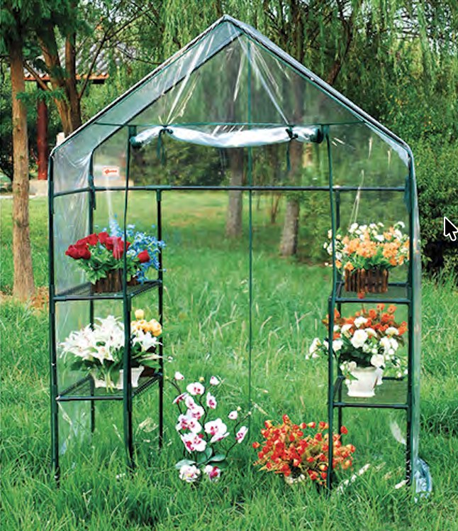 Mini Greenhouse 009