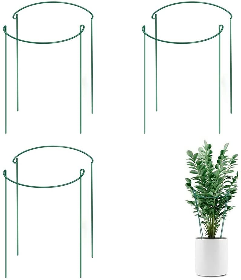 Plant Support PS001