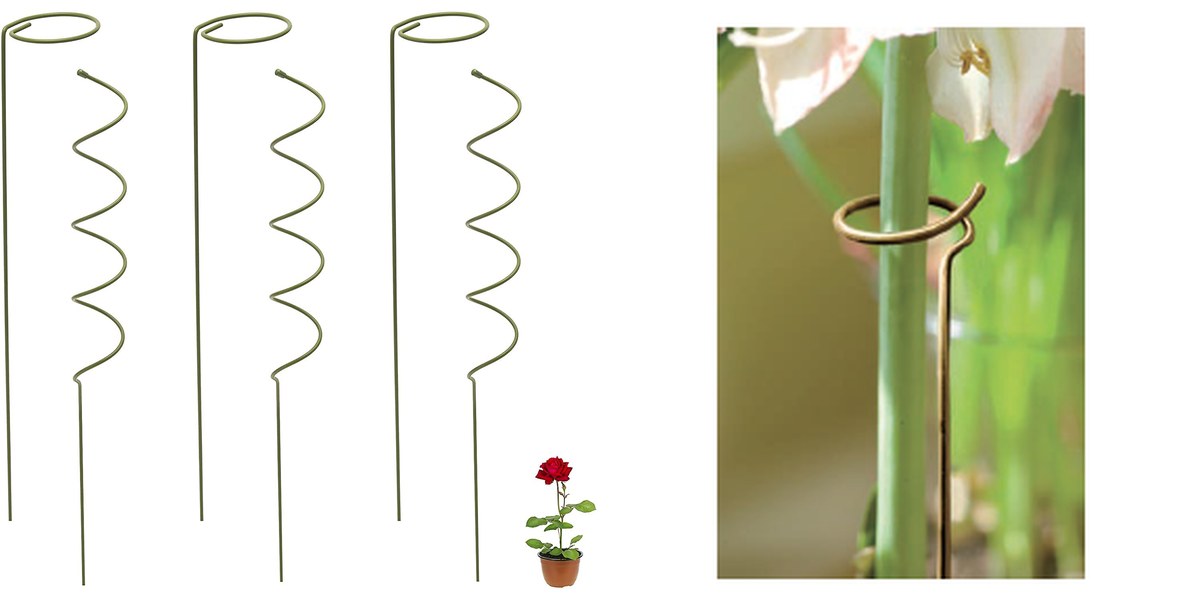Plant Support PS002