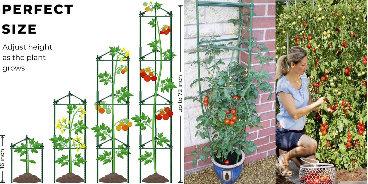 Plant Support PS004