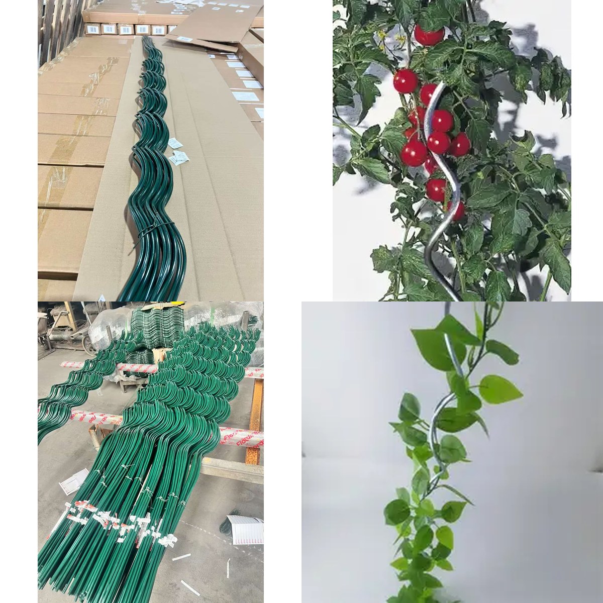 Plant Support